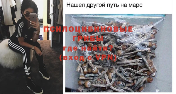 индика Армянск