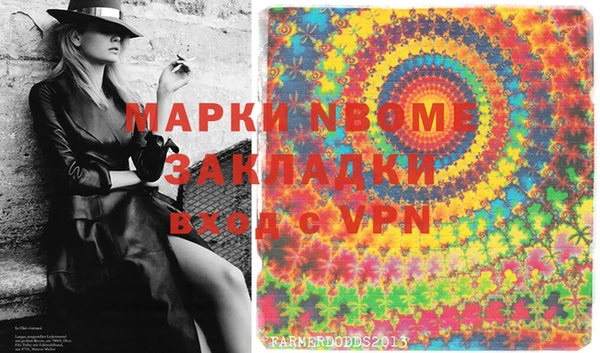 шишки Аркадак