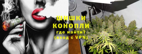 шишки Аркадак