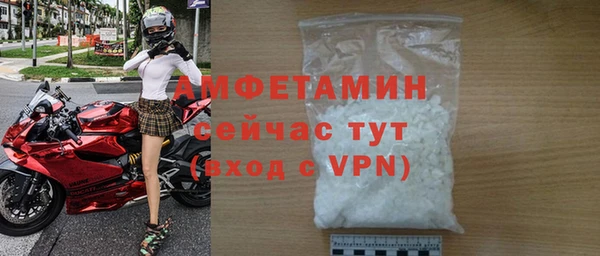 шишки Аркадак